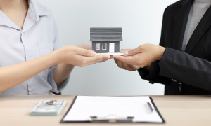 investissement locatif travaux